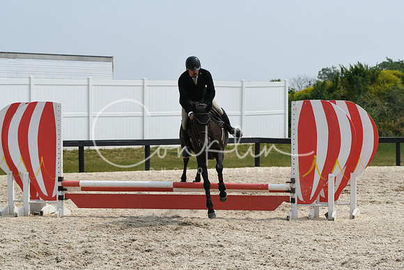 HSM_4654