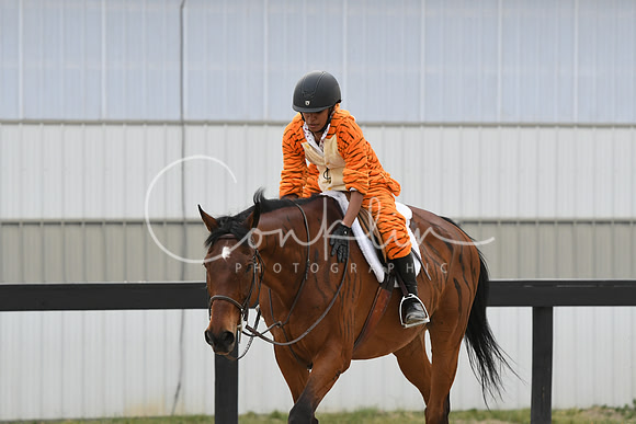 HSM_5935