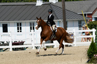 HSM_9096