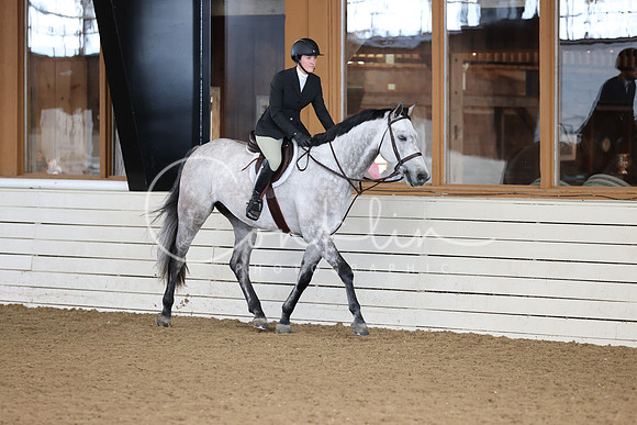 RJC36134