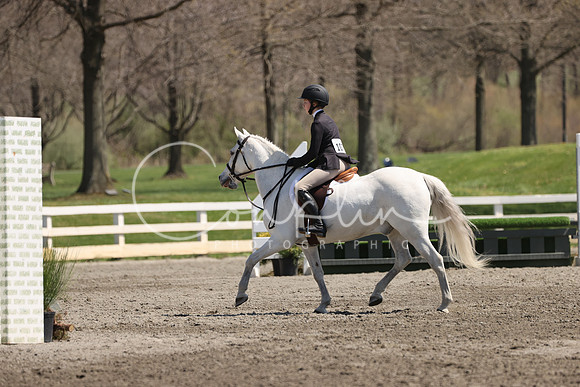 1DX31271
