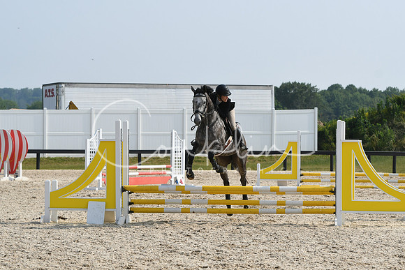 HSM_4253