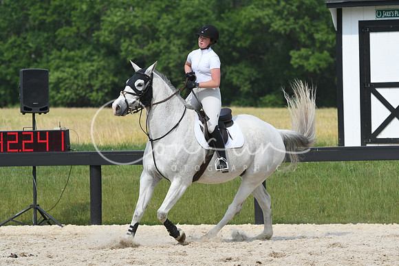 HSM_5619
