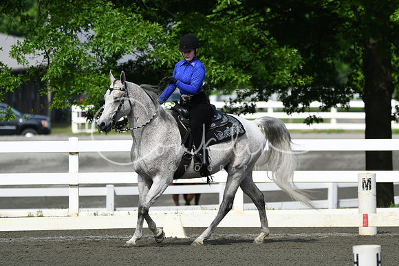 HSM_2560
