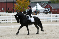 HSM_0160