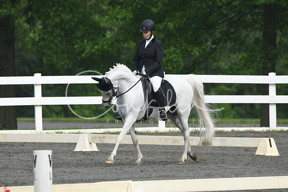 HSM_0946