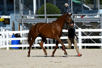 HSM_4539