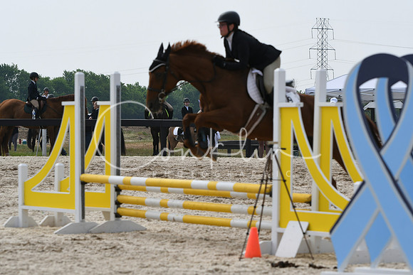 HSM_4474