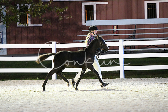 HSM_5819