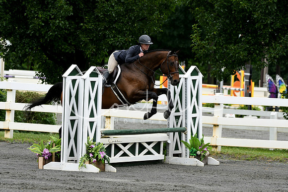 HSM_3838-1