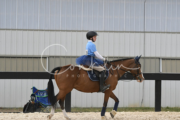 HSM_5908