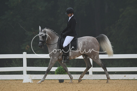 HSM_0650