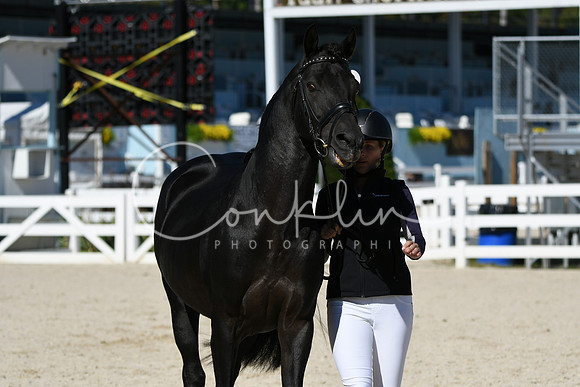 HSM_4639