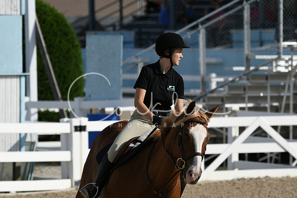 HSM_1475