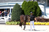 RJC37578
