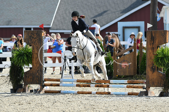 HSM_1838