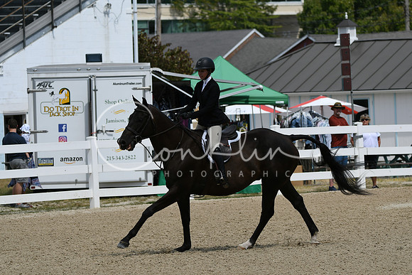 HSM_6838