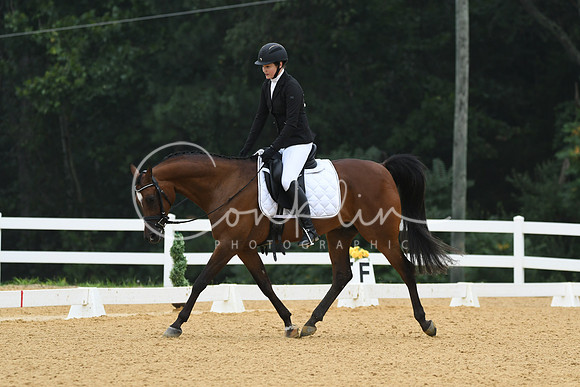 HSM_1036