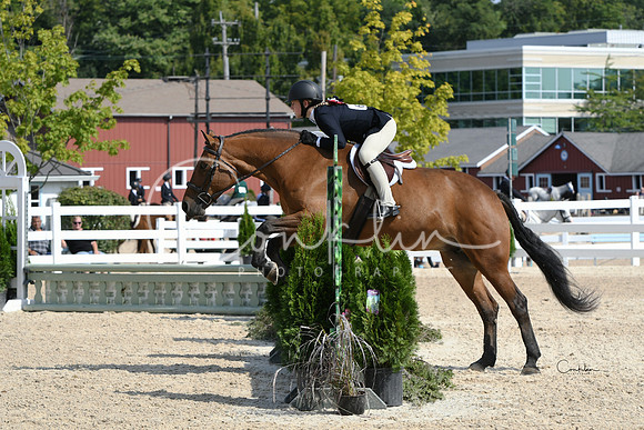 HSM_6312-1