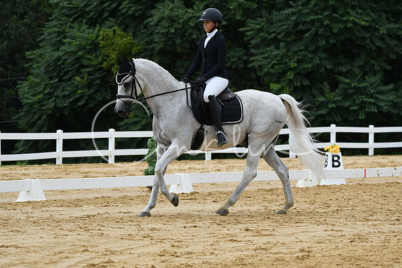 HSM_0345