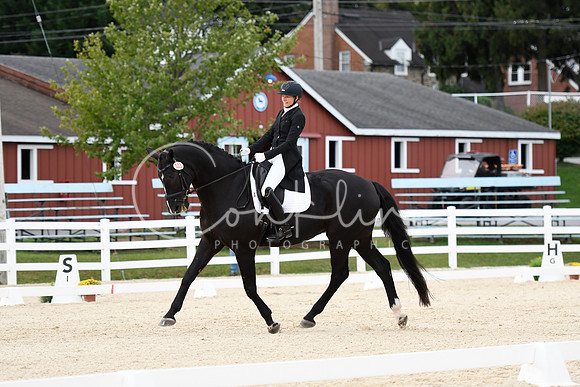_TJP0384