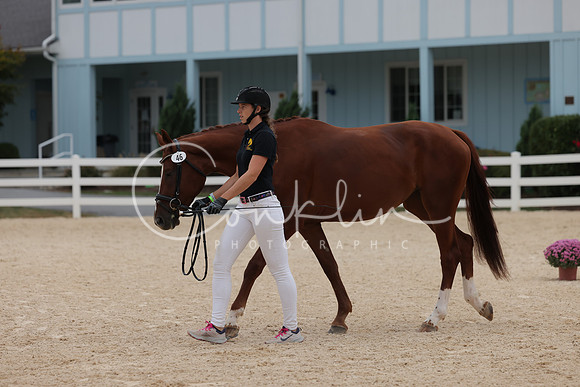 HLK_2196