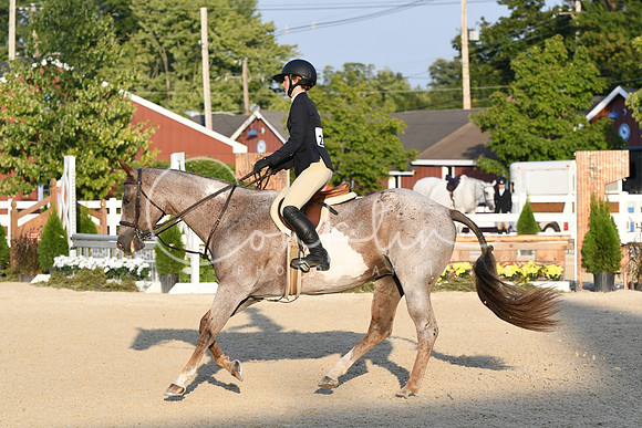 HSM_0248