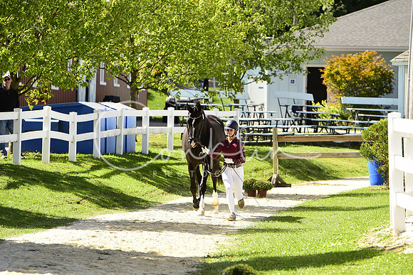 _MDS4384