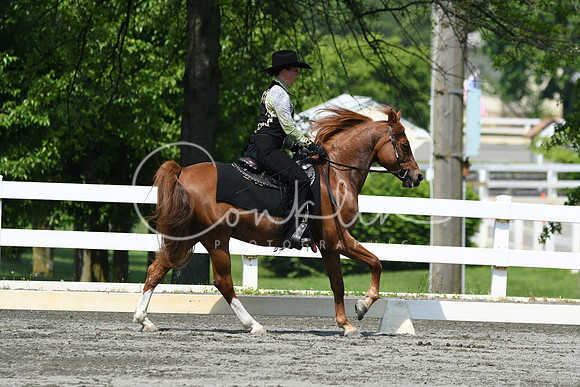 HSM_2805