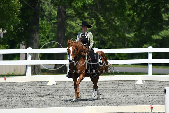 HSM_2821