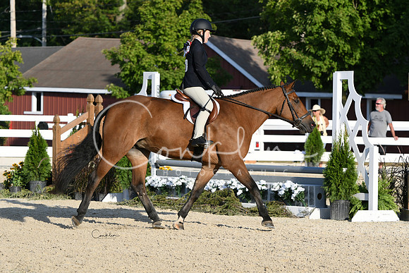 HSM_0106-1