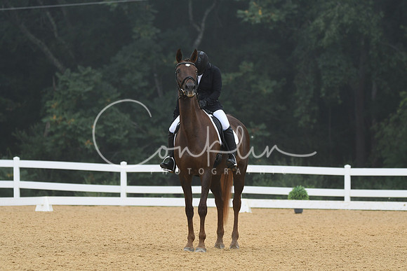 HSM_0979