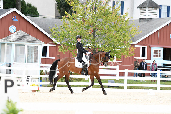 _TJP1734