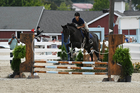 HSM_3201