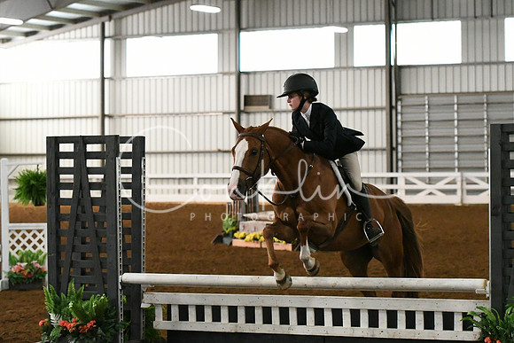 HSM_4533