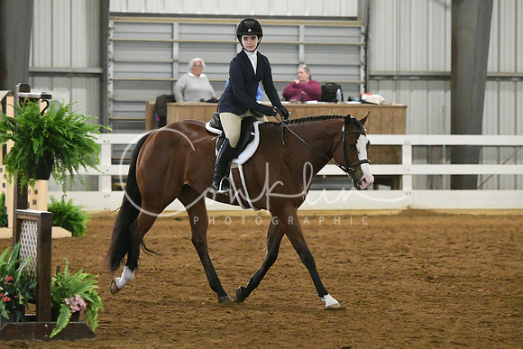 HSM_8031