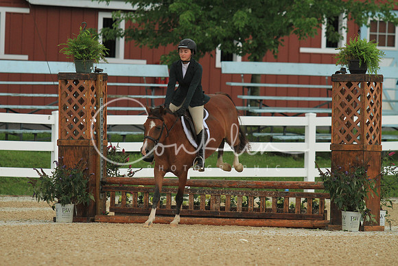 IMG_6339