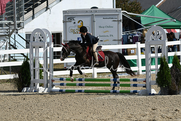 HSM_1795