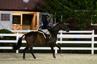 HSM_0667