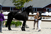HSM_4724