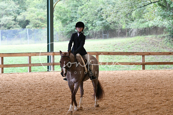 HSM_5335