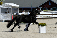 HSM_4756