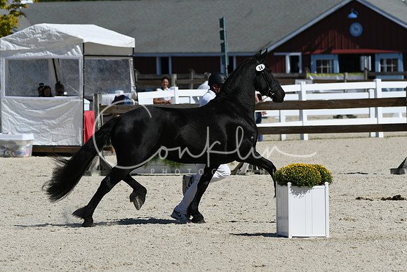 HSM_4756