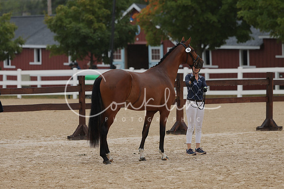 HLK_3063
