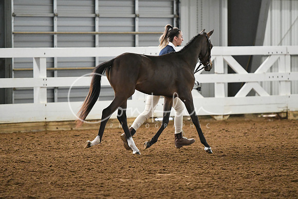HSM_3838