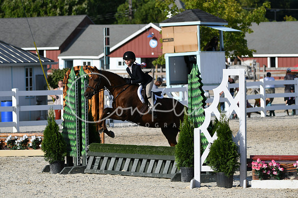 HSM_4352