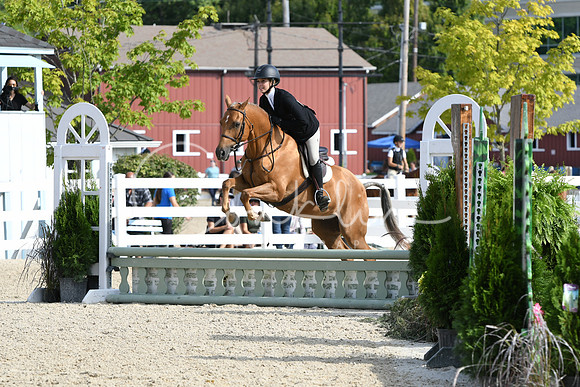 HSM_5988