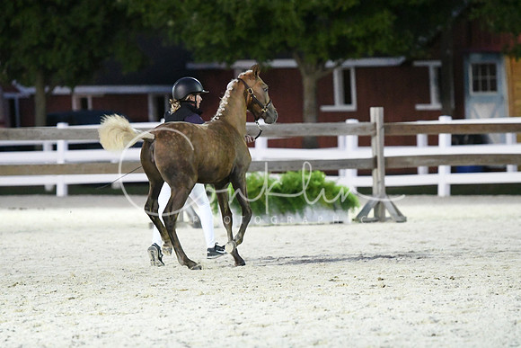 HSM_5798