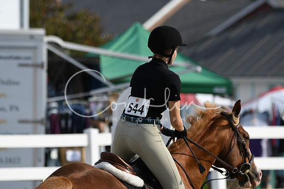 HSM_1470