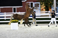 HSM_5789